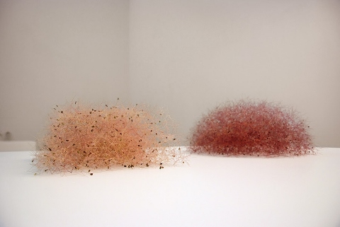 Premio Pino Pascali XIX edizione – Christiane Löhr